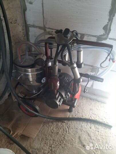 Доильный аппарат для коров бу