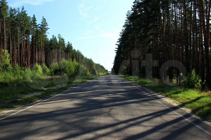 Участок 38 сот. (ИЖС)