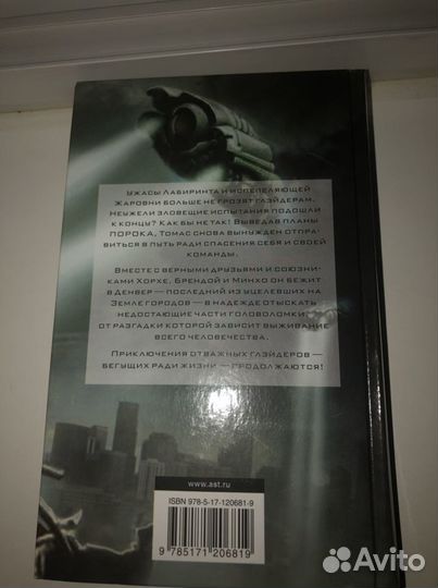 Бегущий в лабиринте (Джеймс Дэшнер)