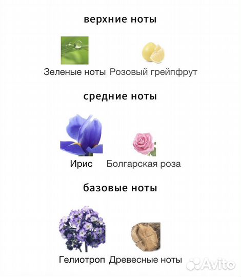 Bvlgari omnia amethyste