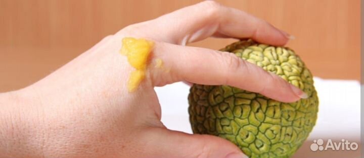 Волшебный крем от софочки