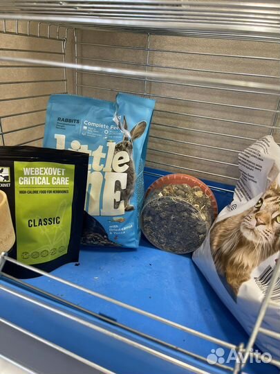 Клетка для грызунов