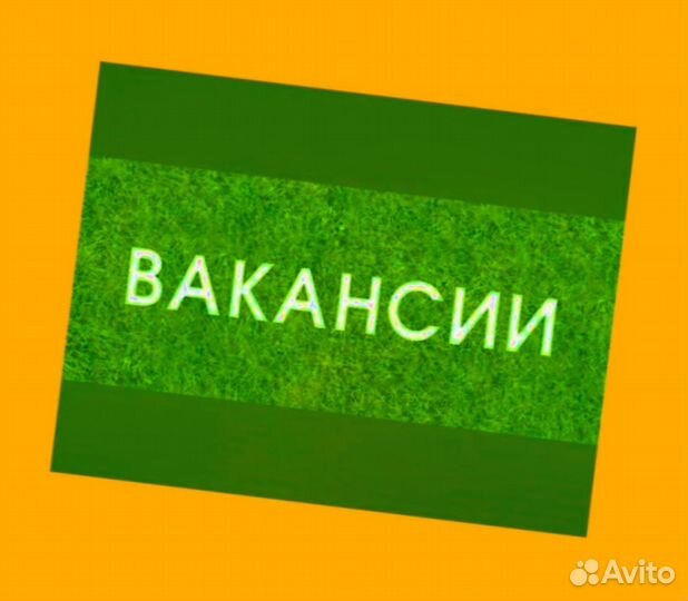 Комплектовщик Работа вахтой Проживание Питание Еженедельные выплаты