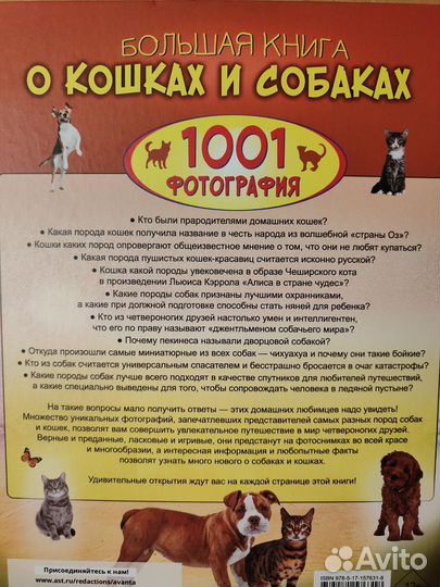 Бол.книга о кошках и собаках. 1001 фото