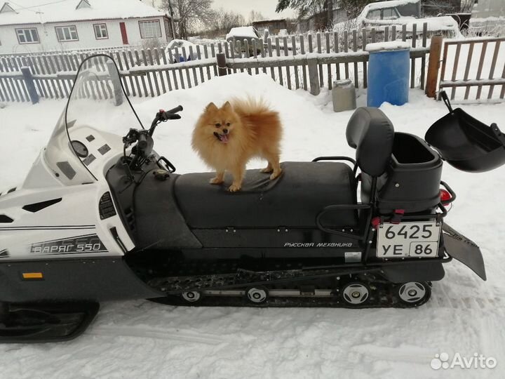 Ищем подружку