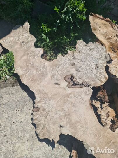 Слэб дерева