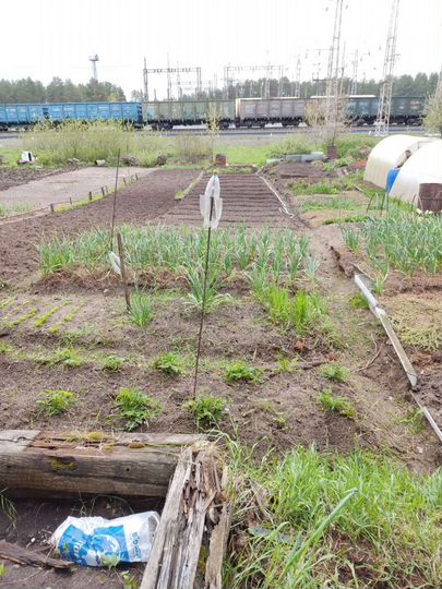 2-к. квартира, 50 м², 1/2 эт.