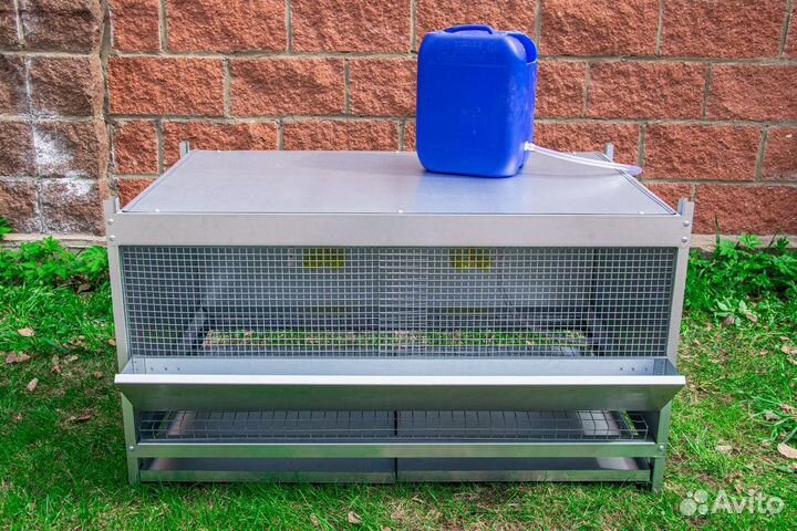 Клетки для кур несушек