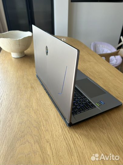 Thunderobot 911 plus pro gray 17.3, 3060