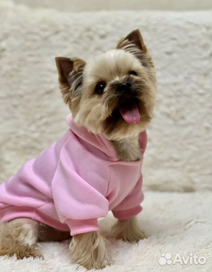 Худи на флисе для кошек собак