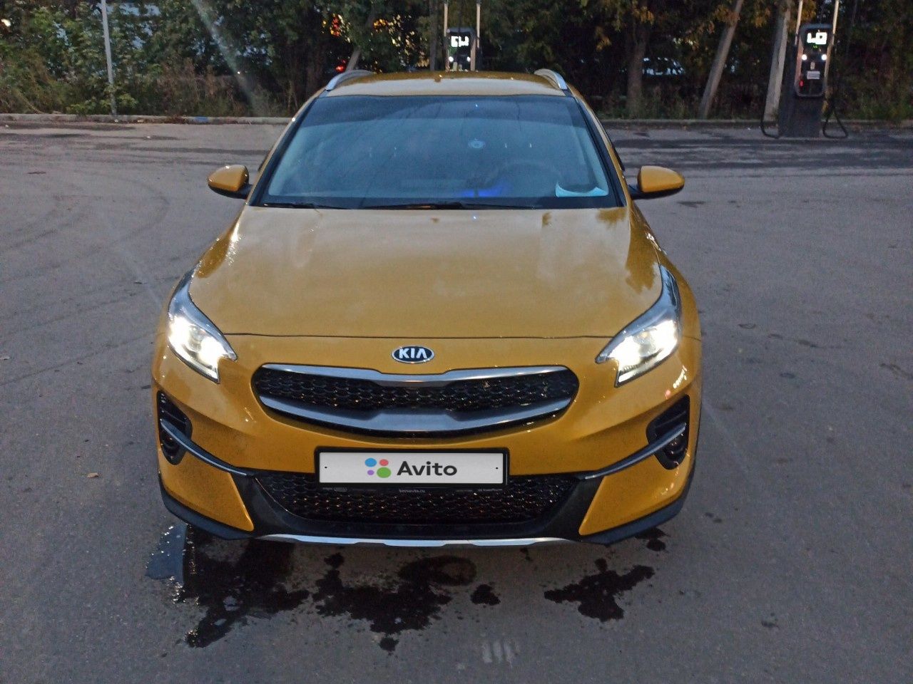 Kia XCeed: фото владельца