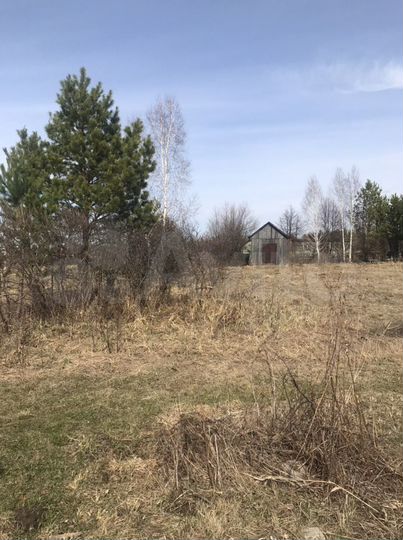 Участок 10,4 сот. (СНТ, ДНП)