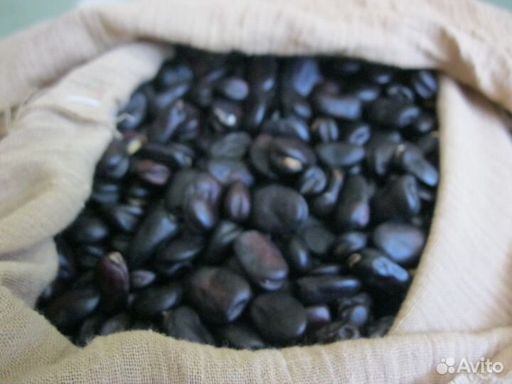 Бобы русские.черные