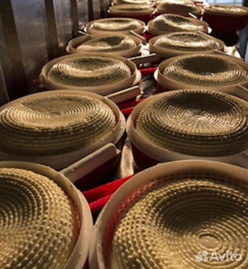 Осетинский сыр оптом