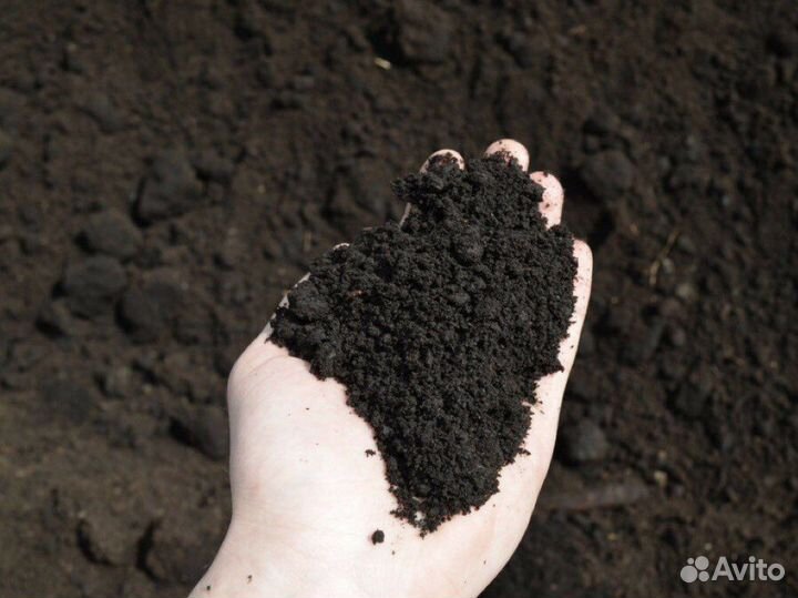 Грунт плодороный сеяный от 10 куб
