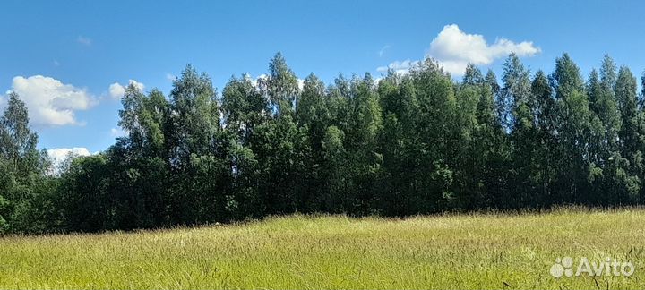 Конные прогулка и фотосесия