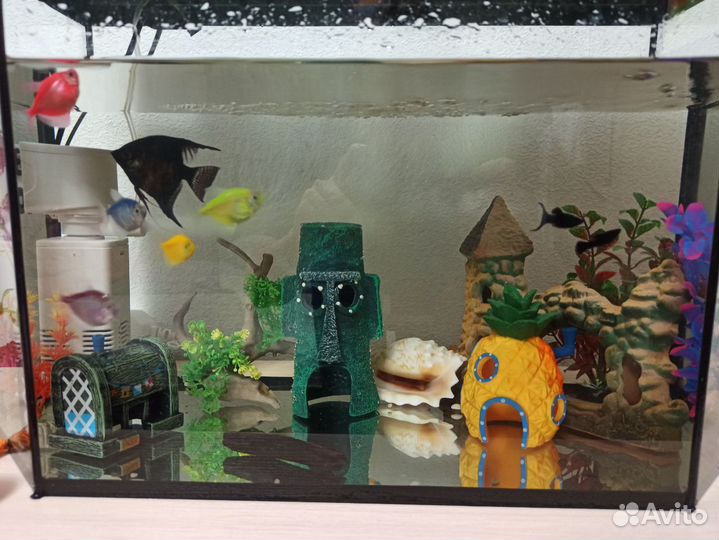 Аквариум на 50 литров