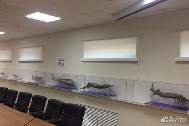 Рулонные шторы I8646-W3715