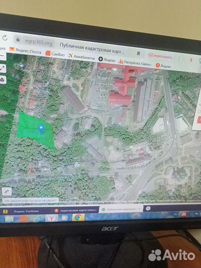 Пшеница, овёс