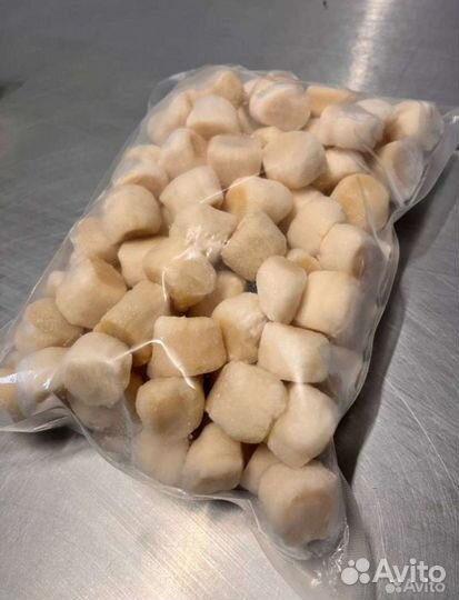 Морской гребешок Курильский