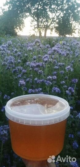 Мёд, соты, прополис, перга, пыльца с доставкой