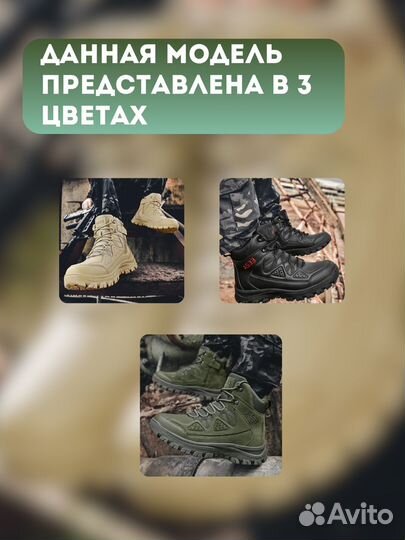 Инфографика для wildberries