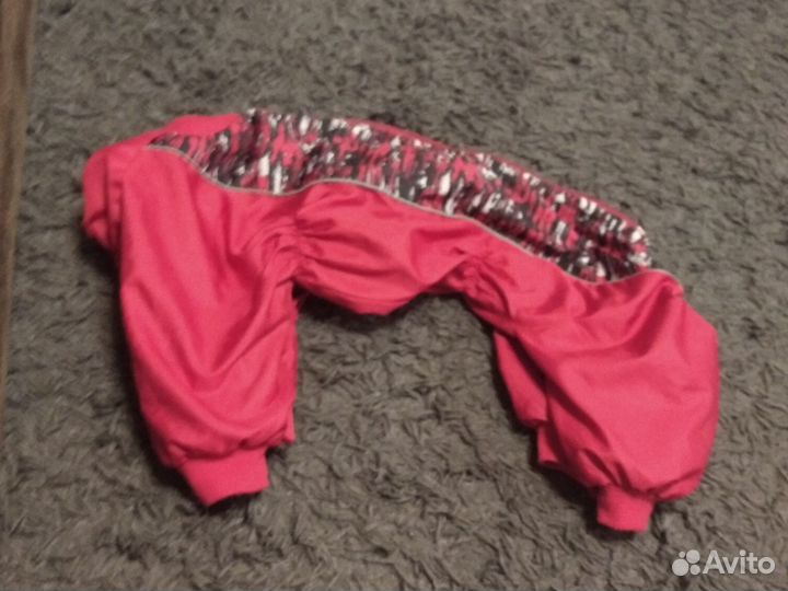 Дождевик для собак средней породы