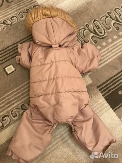 Одежда для собак