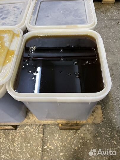 Свежий гречишный мёд оптом