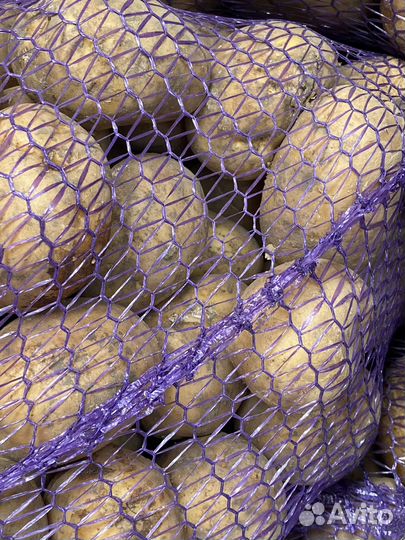 Продам картофель, цена 18