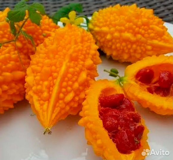 Семена ананасовой дыни,момордики