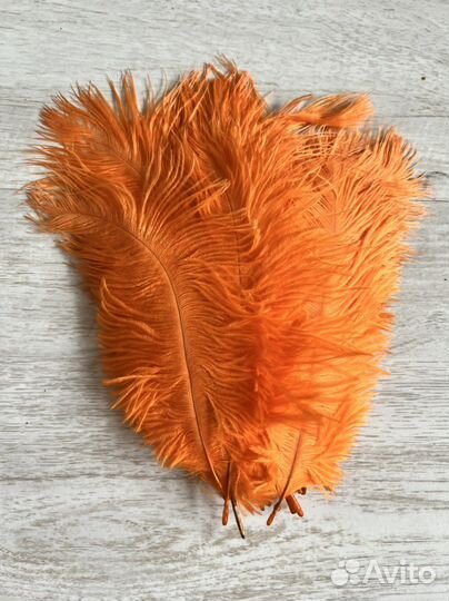 Перья страуса цветные