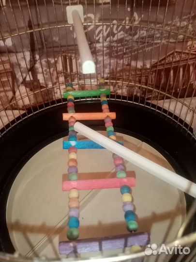 Продам клетку для птиц