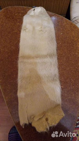 Шкурка нутрии 20*60 см