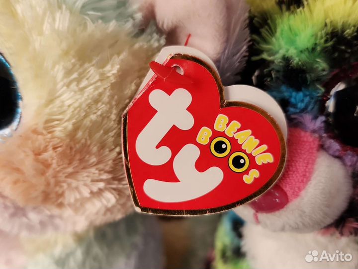 Котики из коллекции TY beanie