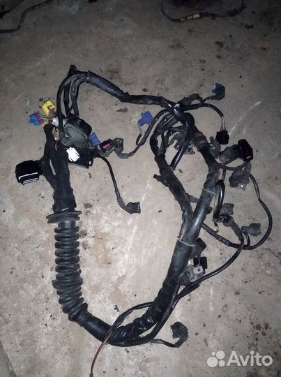 Моторная проводка Audi A6 C5 2.4 AGA