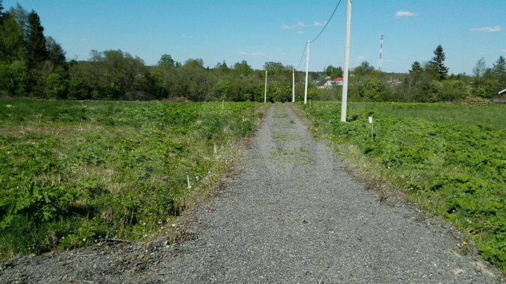 Участок 22,5 сот. (СНТ, ДНП)