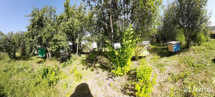 Татарский мед