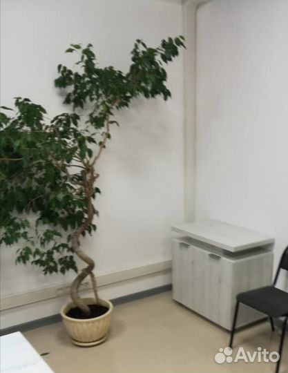 Кабинет для руководителя 