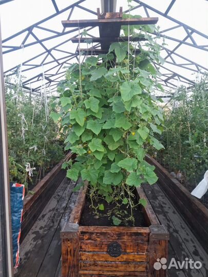 Теплица, парник под заказ