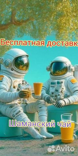 Чай пуэр « Космос шаманов » шмн14941