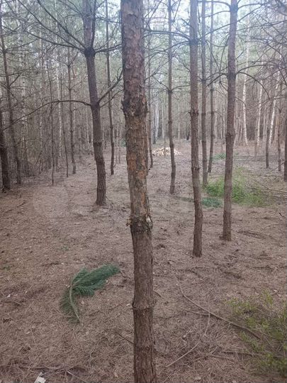 Участок 8 га (ИЖС)