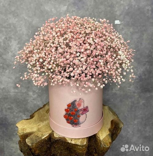 Гипсофилы с открыткой