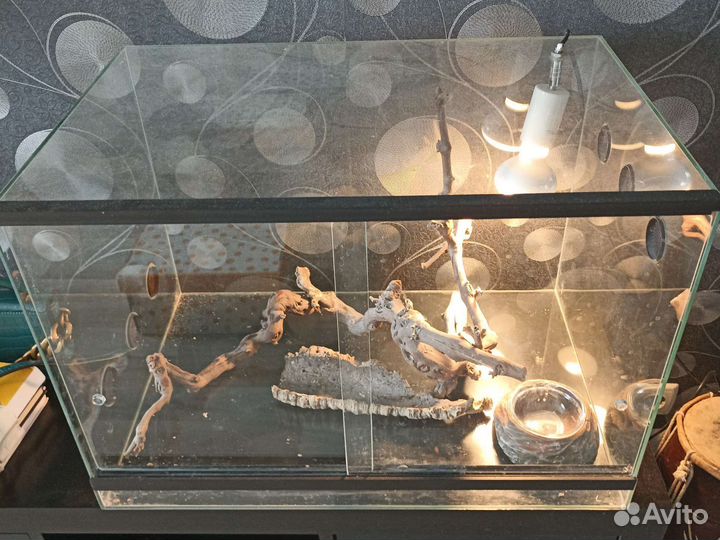 Аквариум для ящериц