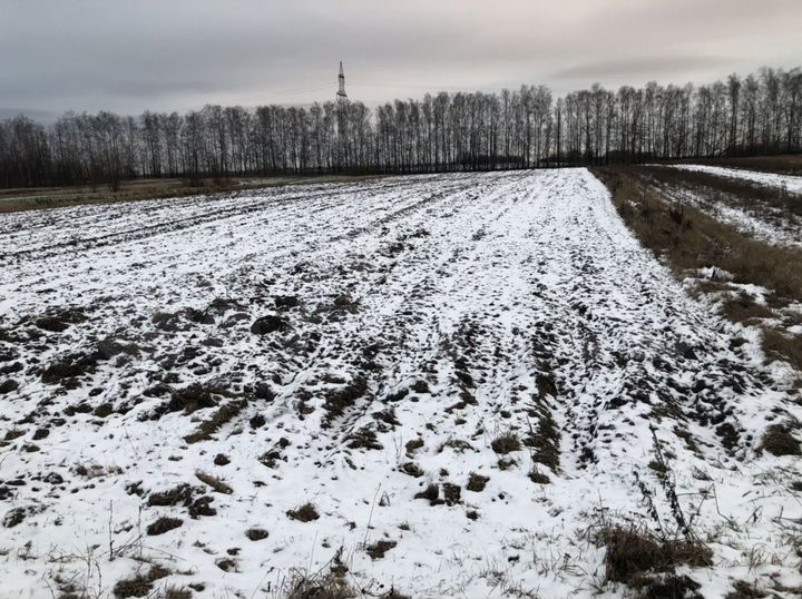 Участок 30 сот. (СНТ, ДНП)