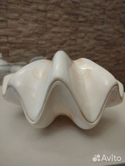 Ракушка 2 створки, большая, морская