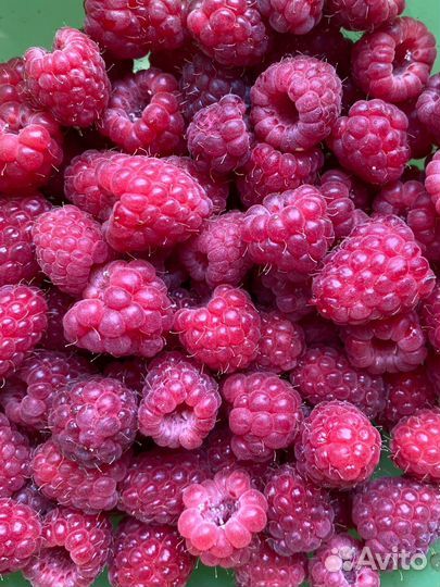 Варенье земляника, малина, клубника