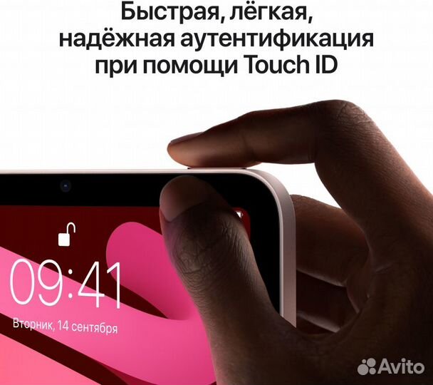 iPad mini (2021) 256GB pink Wi-Fi+cell
