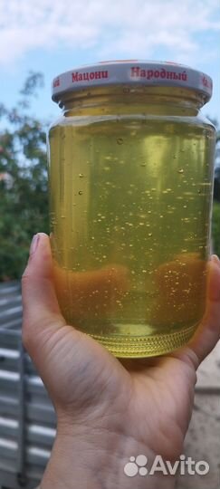 Мед белой акации 2024г