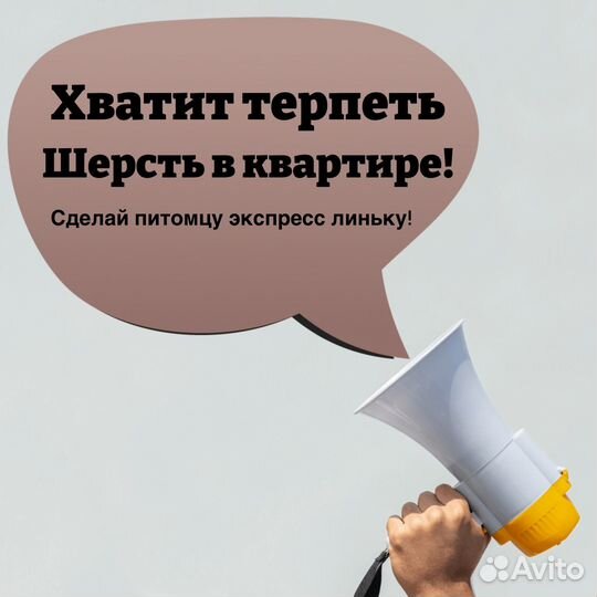 Груминг с выездом на дом